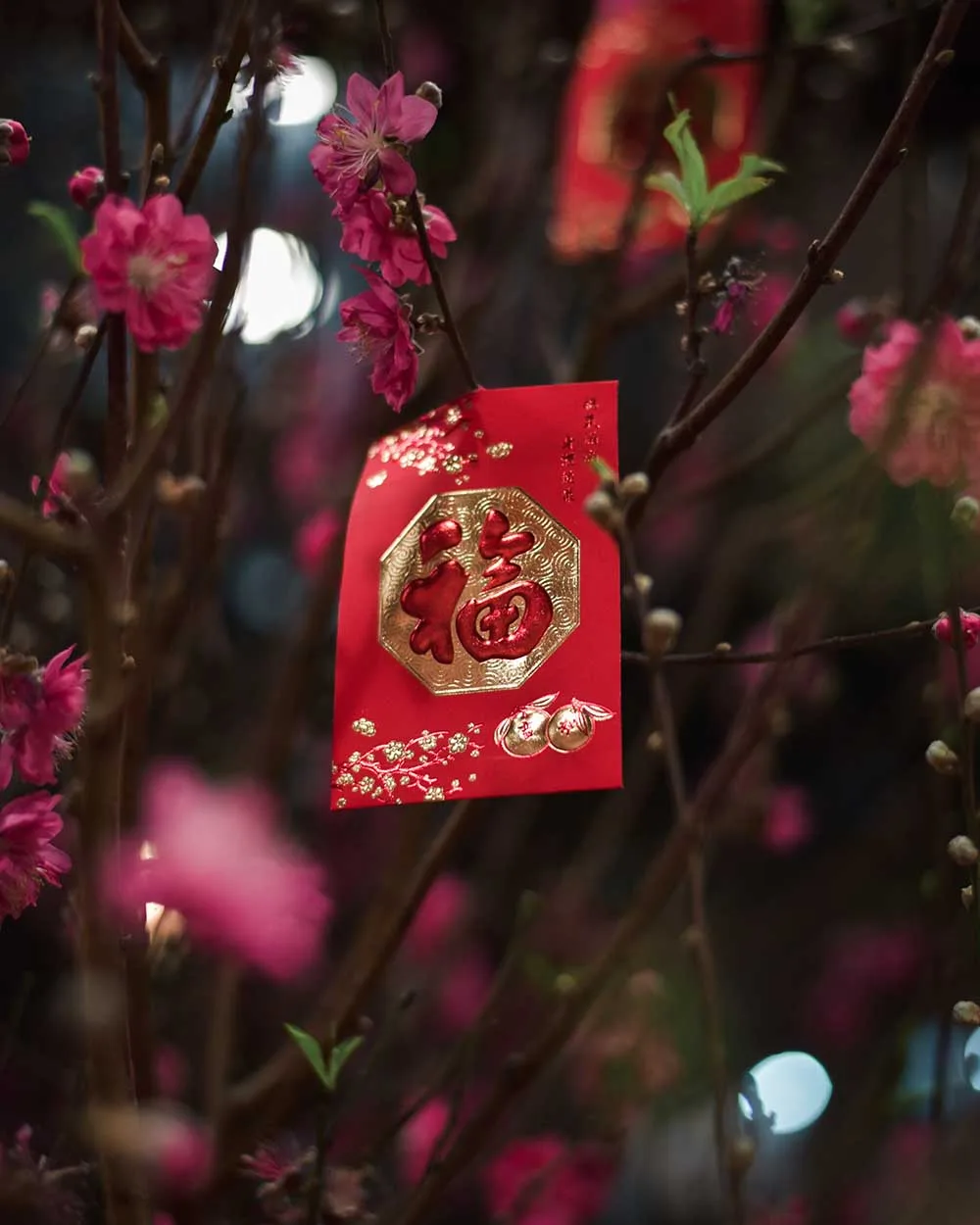 BAO LÌ XÌ TRANG TRÍ TẾT
