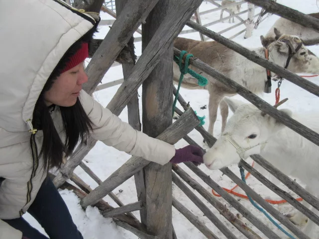 Du lịch Lapland, Phần Lan, quê hương ông già Noel - 05