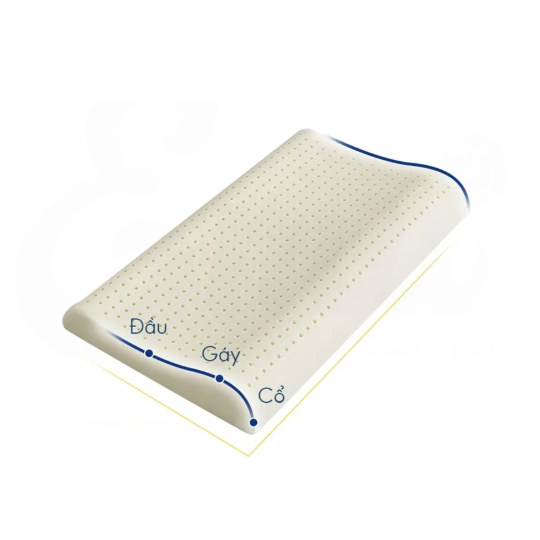 Untitled design (61).png