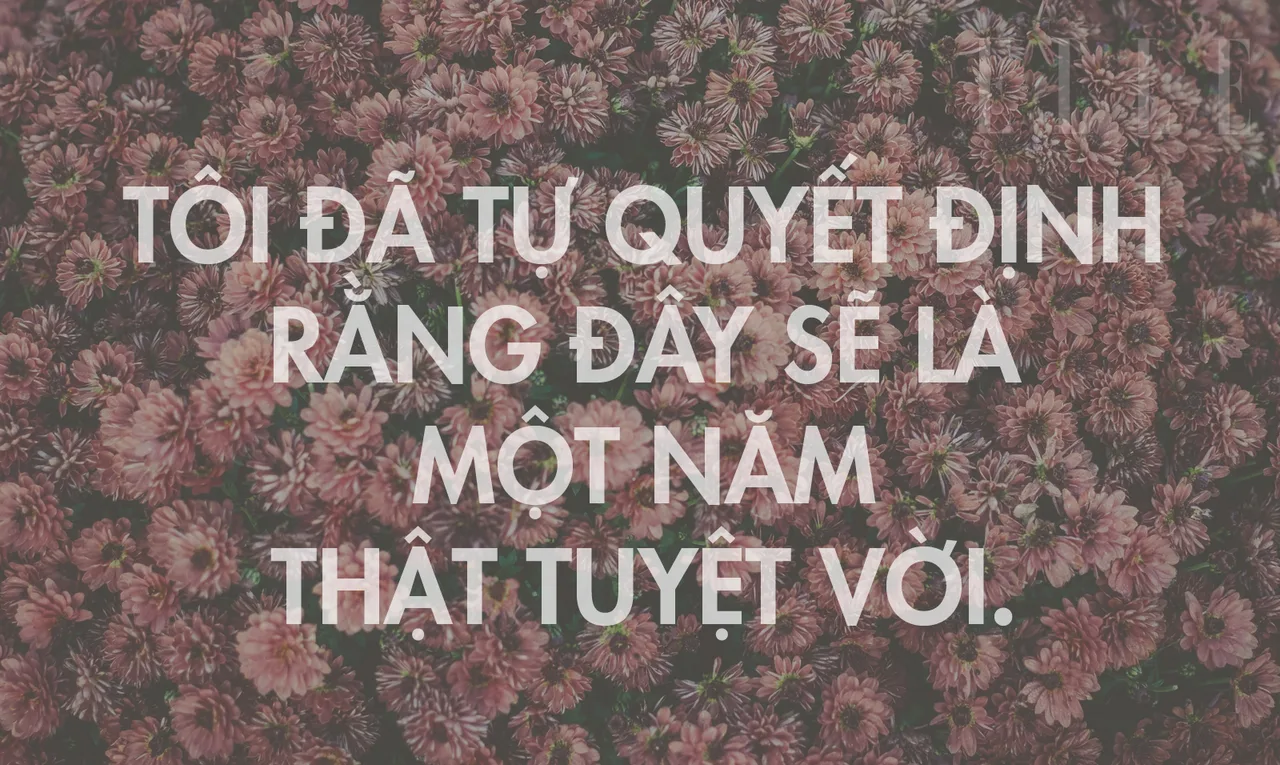 khởi đầu mới