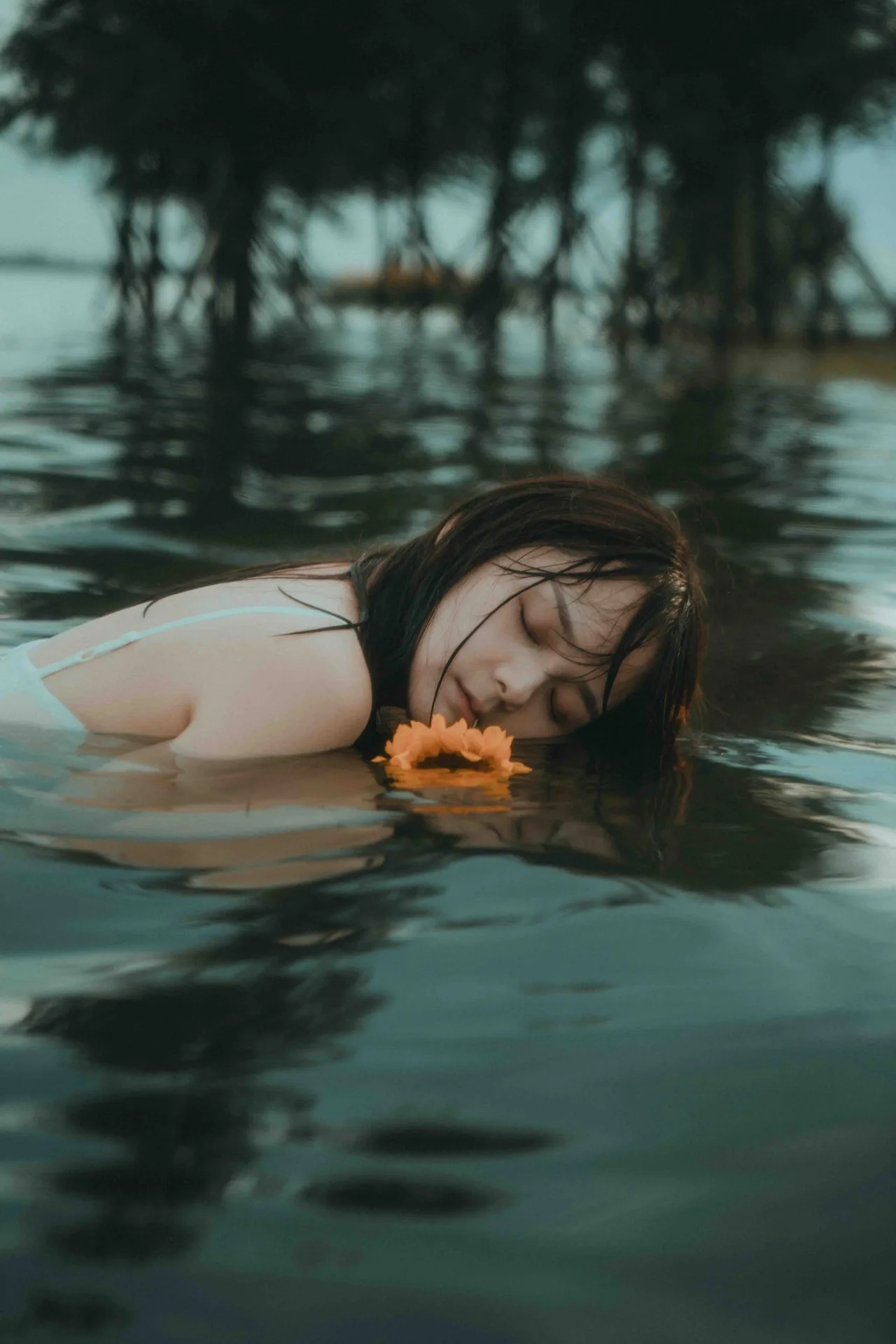 song ngư cải thiện tình hình tài chính