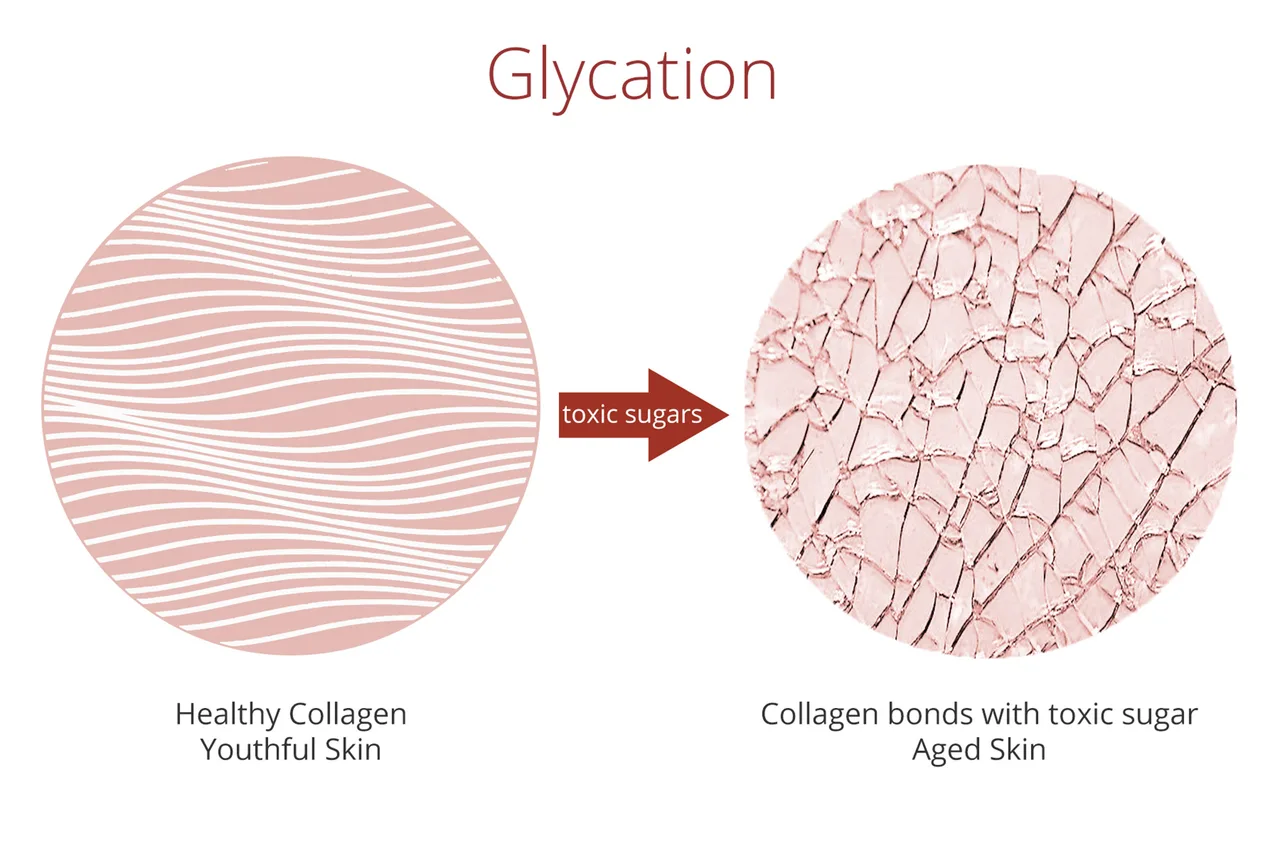 lão hóa collagen bị vỡ hình vòng tròn collagen bị vỡ-lão hóa