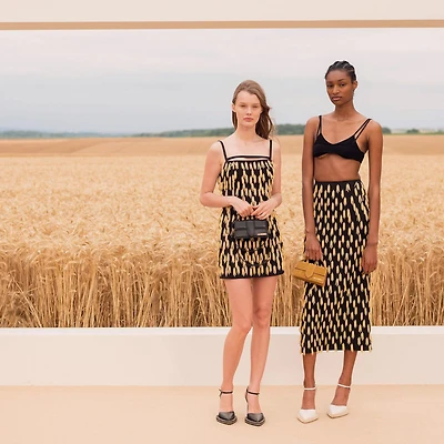 jacquemus cánh đồng lúa mì