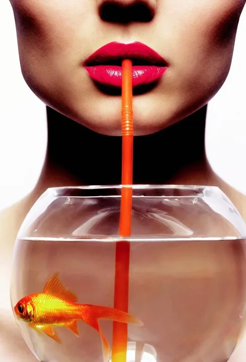 Detox thanh lọc cơ thể Detox thanh lọc cơ thể
