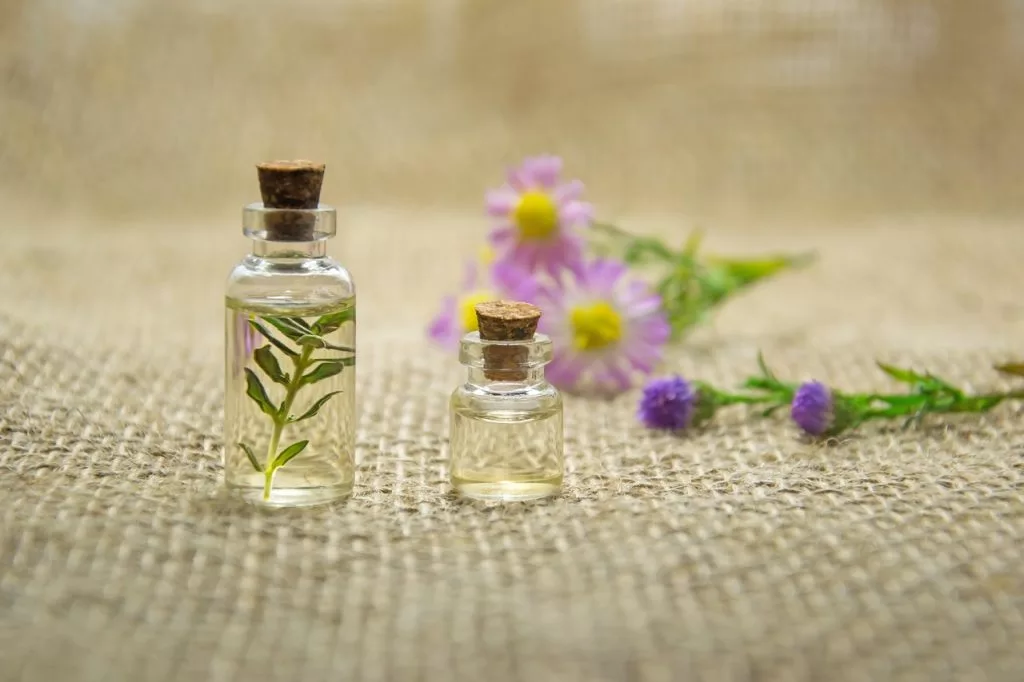 Các axit amin có trong xương rồng lê gai còn kích thích sự sản sinh của các tế bào collagen tự nhiên. dưỡng da - dầu