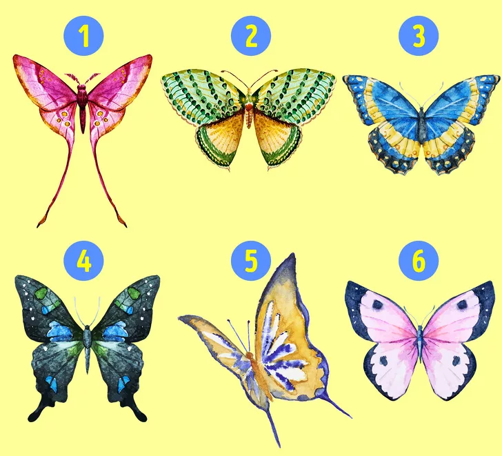 cánh bướm tiết lộ tính cách 01