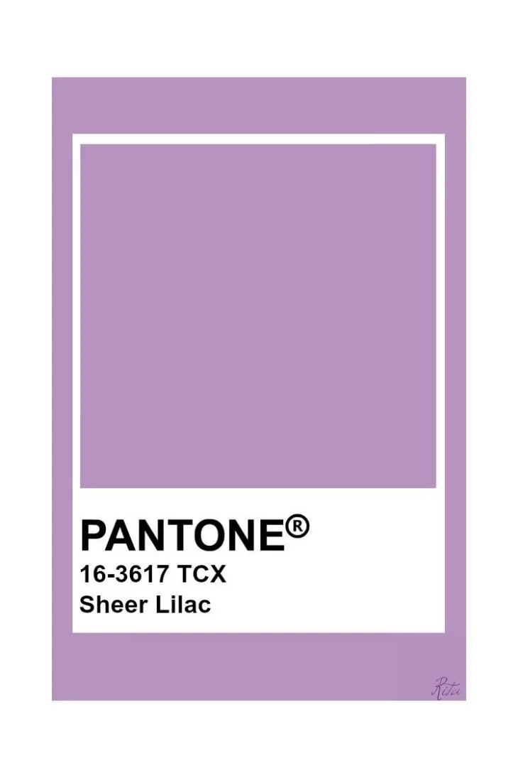 màu sheer lilac