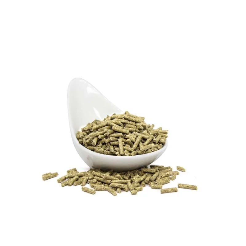 _ELLE Quỳnh Giang - ẢNH GẮN AFF (6).png