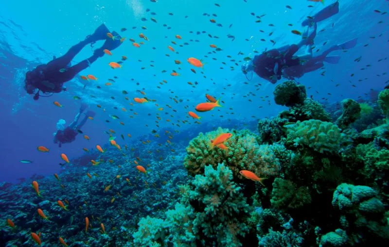 Du lich Philippines Bay ngay thien duong o El Nido 7 Du lich Philippines Bay ngay thien duong o El Nido 7