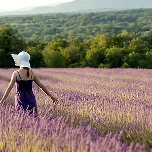Du lịch Hokkaido: Nơi có mùa Hè đẹp nhất nước Nhật