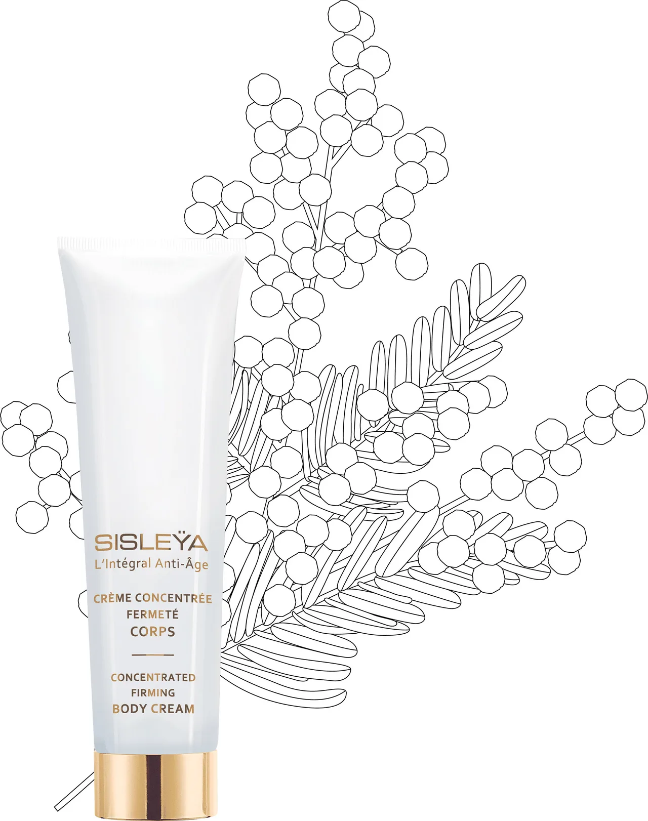 sản phẩm dưỡng thể Sisley sản phẩm dưỡng thể Sisley