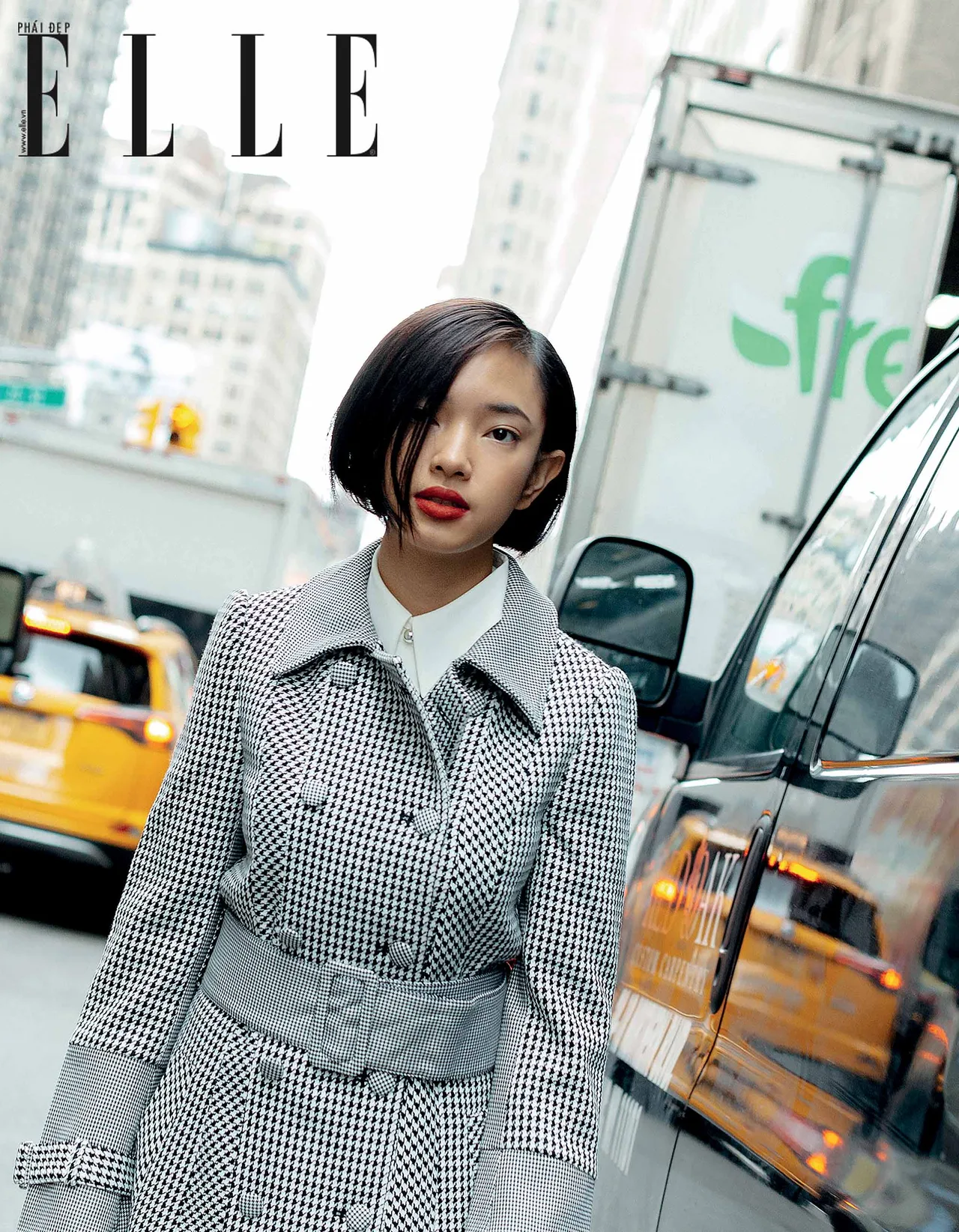 bộ ảnh 1 bộ ảnh châu bùi ở new york
