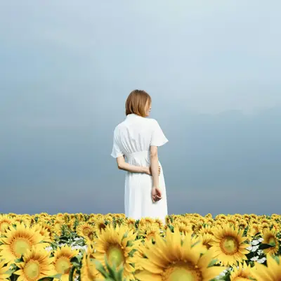 cô gái khoanh tay trước đồng hoa hướng dương trắc nghiệm