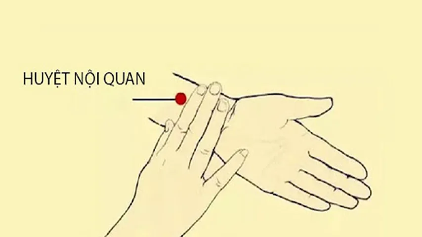 Những cách chống say xe hiệu quả mà cô nàng mê dịch chuyển cần biết Những cách chống say xe hiệu quả mà cô nàng mê dịch chuyển cần biết