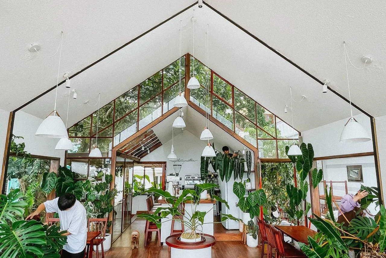 không gian xanh tiệm cafe phía tây mặt trời đà lạt