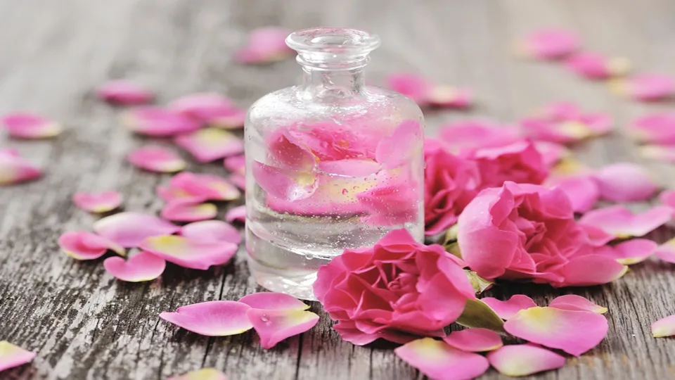 Công dụng của nước hoa hồng 1 Công dụng của nước hoa hồng 1