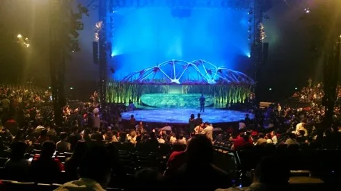 Cirque De Soleil - Totem là show trình diễn nghệ thuật tuyệt vời nhất quả đất mà tôi từng được xem