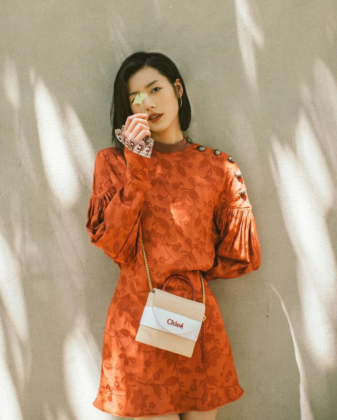 những câu nói hay người mẫu liu wen túi xách chloe