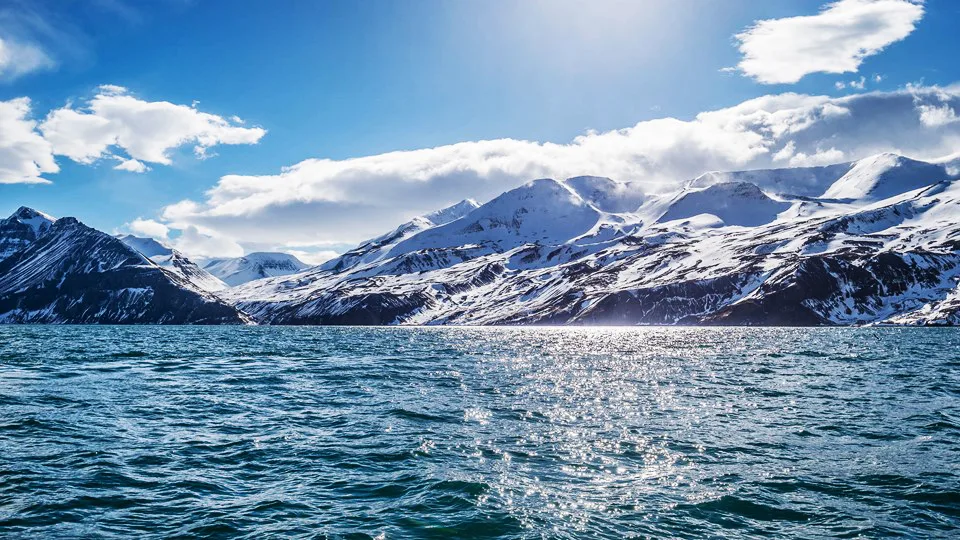 ngắm cá voi Husasta, Iceland