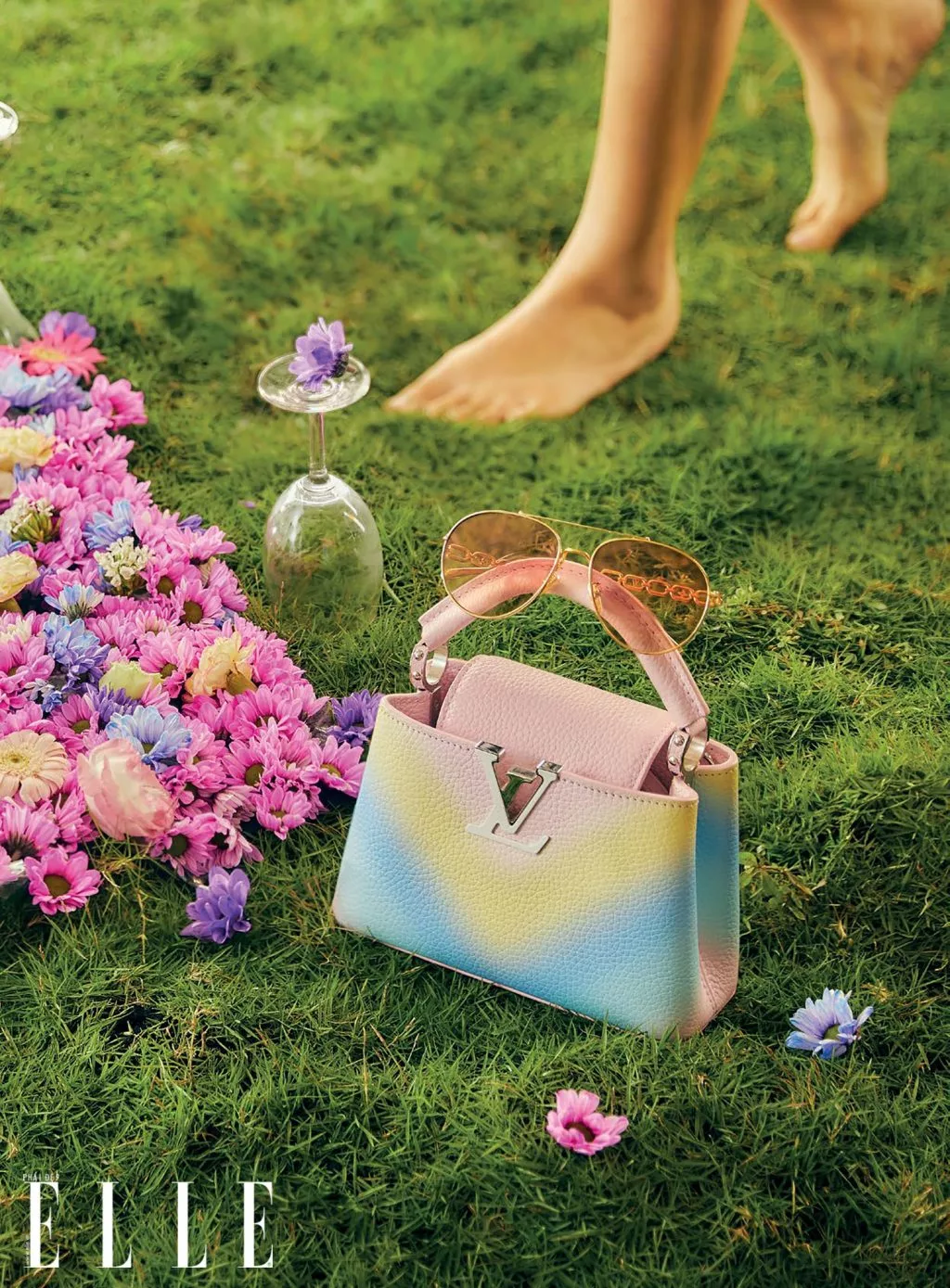 phụ kiện túi Louis Vuitton phụ kiện túi Louis Vuitton