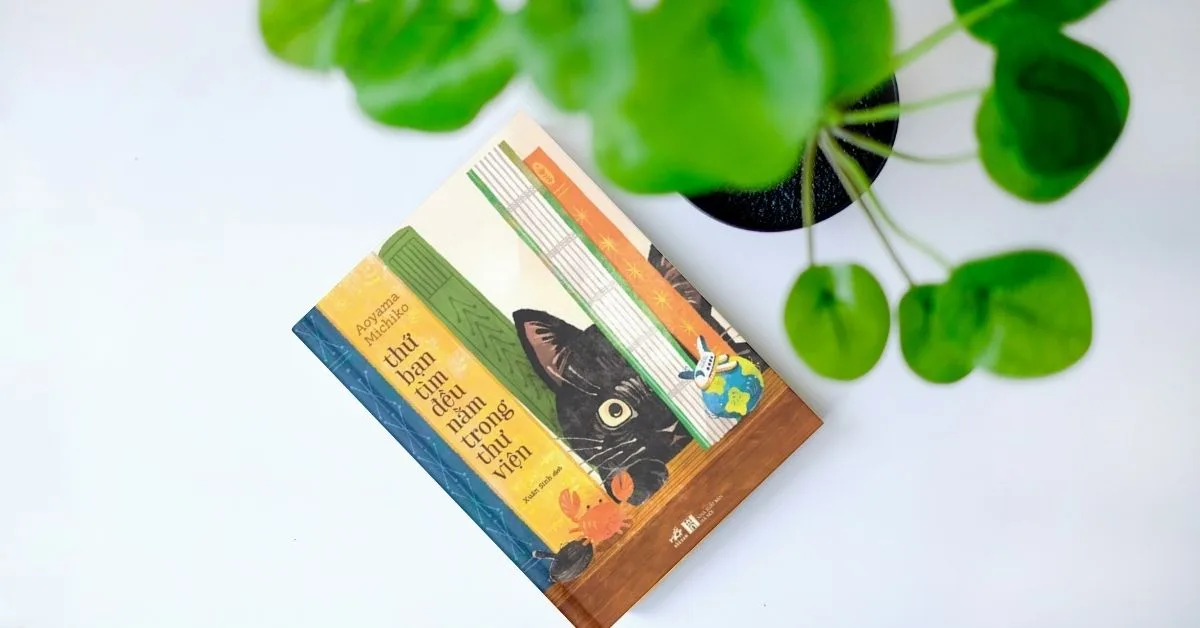 Thứ bạn tìm đều nằm trong thư viện khắc họa năm con người đang bế tắc ở ngã ba đường và hành trình họ tìm đến thư viện Hatori để mở ra lối đi mới.