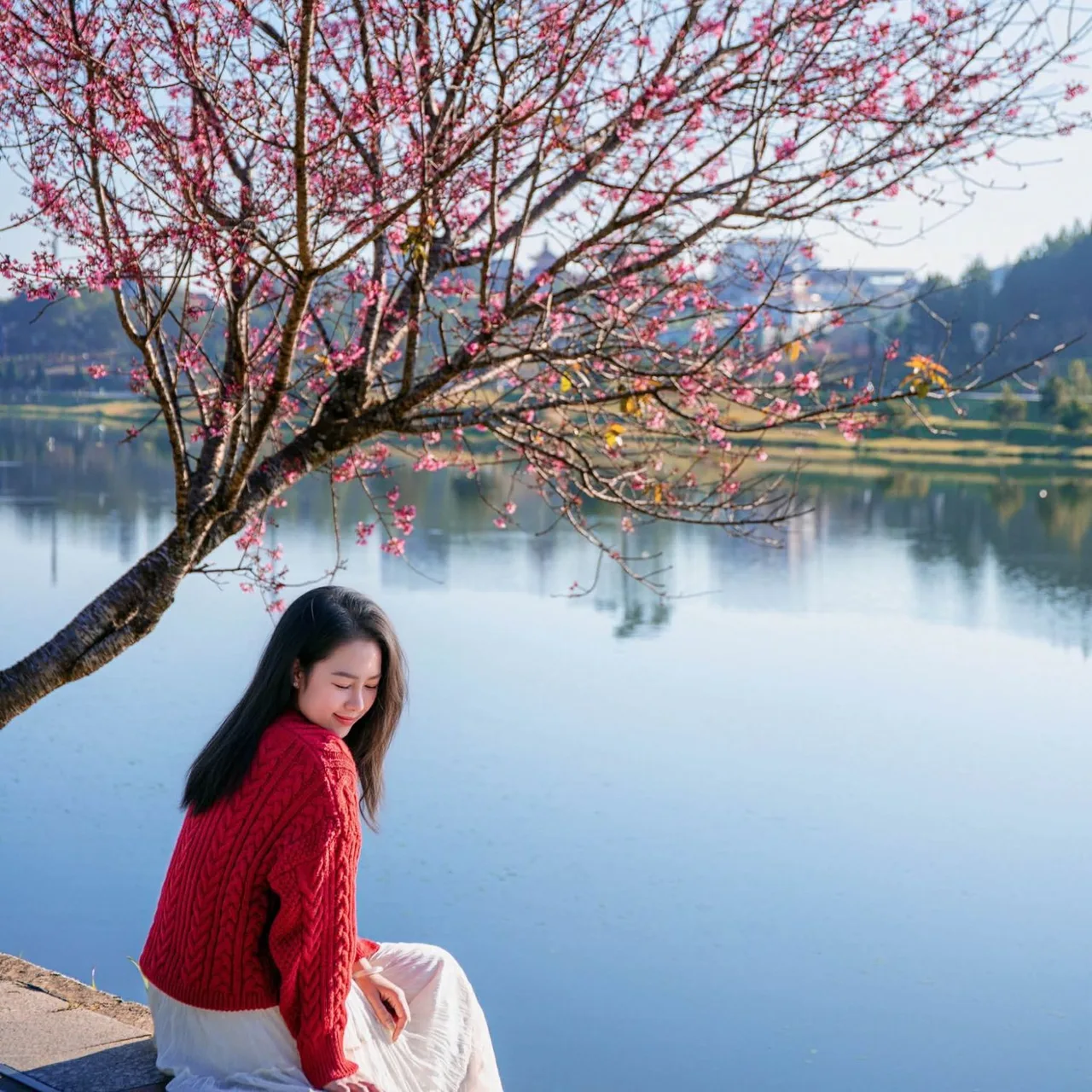 Hồ Xuân Hương là một trong những địa điểm ngắm hoa anh đào đẹp nhất ở Đà Lạt.