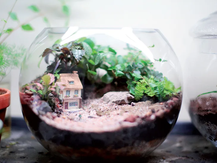 Instagram 7 tài khoản instagram 8