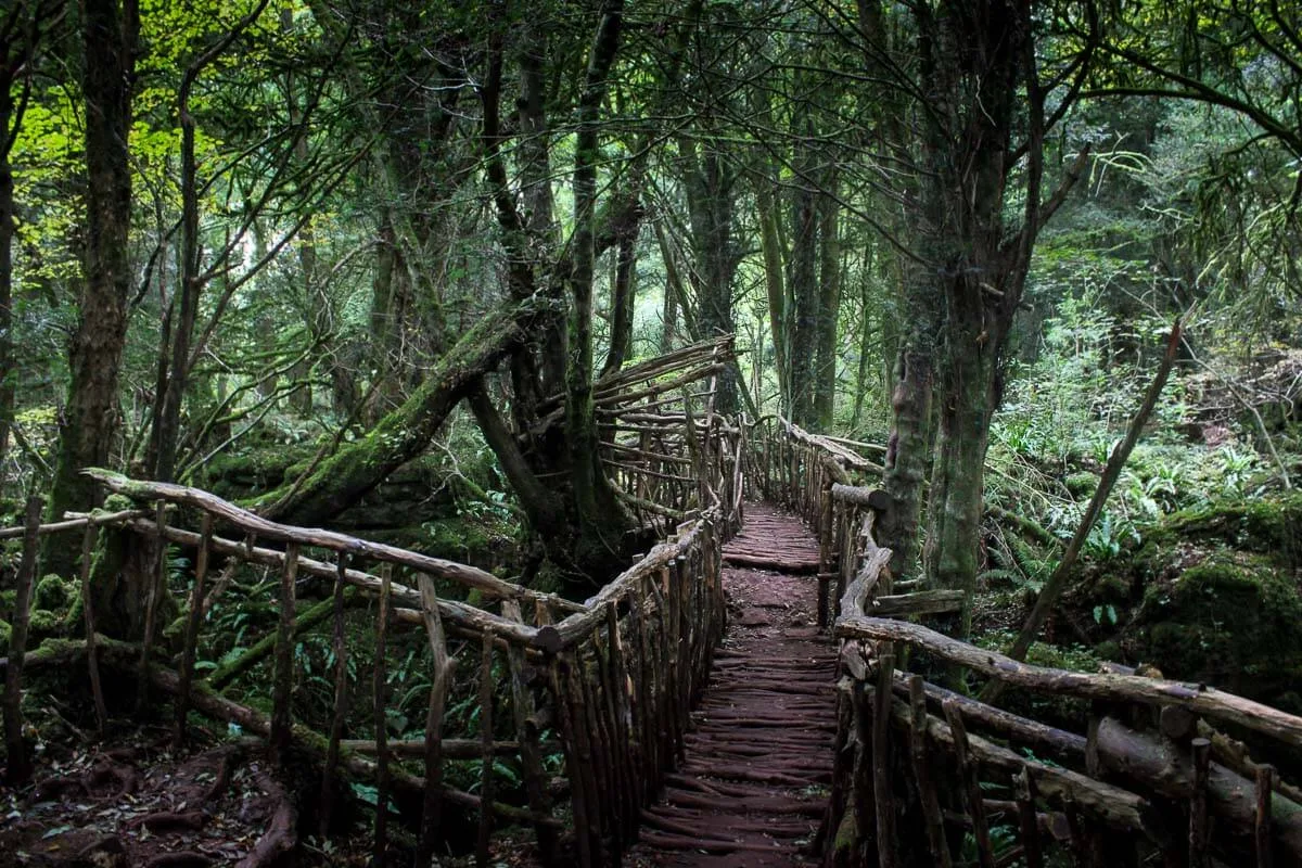 sex education forest of dean