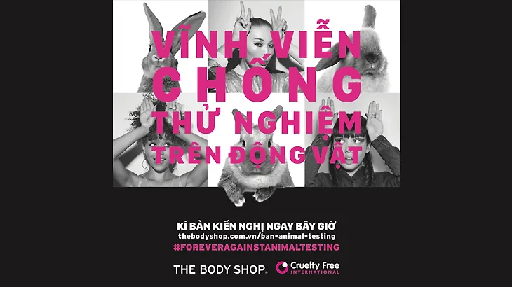 Bài viết liên quan