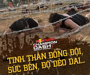 Tinh thần Đồng đội - Sức bền, độ dẻo dai 