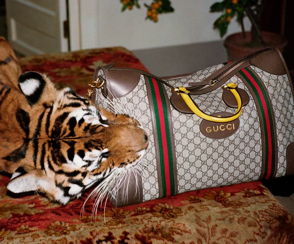 Nhà mốt Gucci với tôn chỉ đạo đức nhằm bảo vệ môi trường sống loài người Nhà mốt Gucci với tôn chỉ đạo đức nhằm bảo vệ môi trường sống loài người