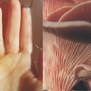 Ảnh Instagram thương hiệu Chloé