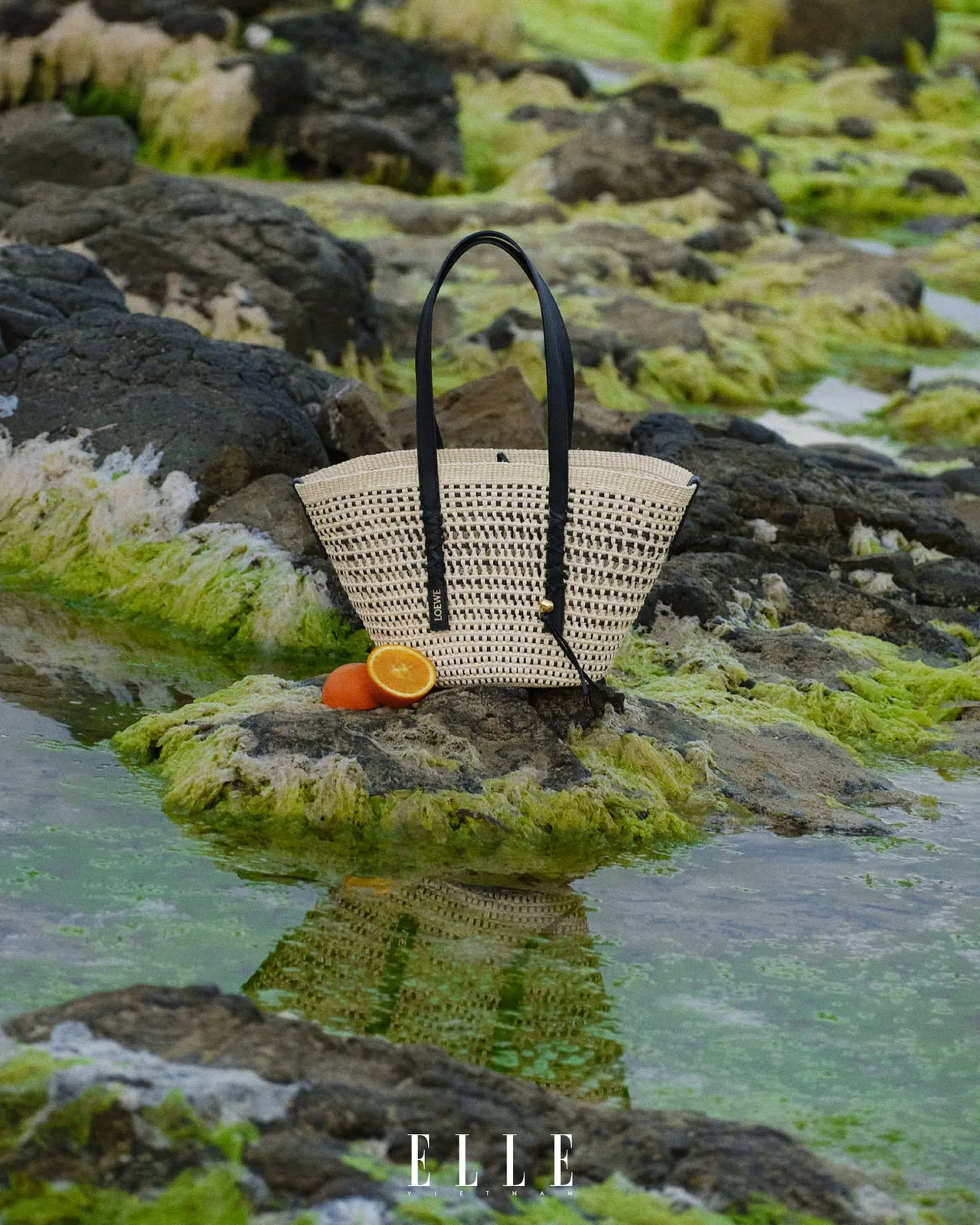 Trang phục & phụ kiện LOEWE PAULA'S IBIZA 2026