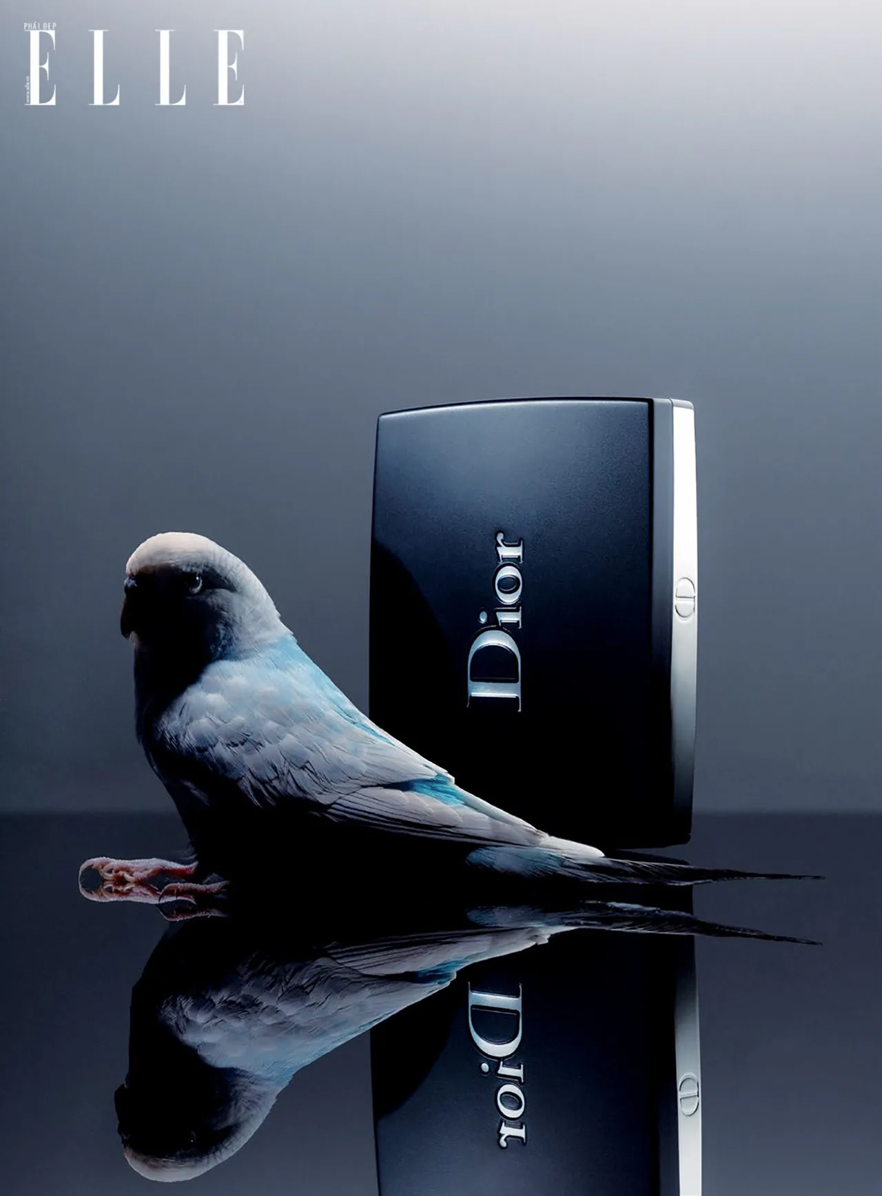 trang điểm phấn mắt dior trang điểm phấn mắt dior