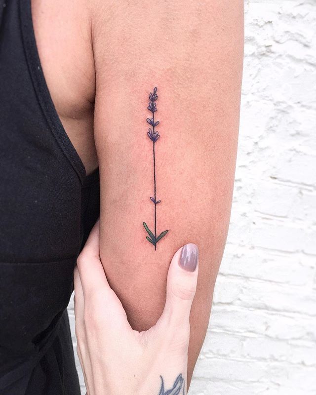 hình xăm hoa_cat.n.tattoo1