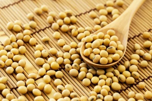 Đậu nành và những chế phẩm từ nó rất tốt cho sức khỏe phụ nữ