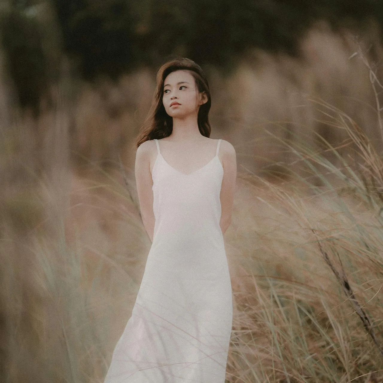 cô gái đứng trên cánh đồng bông lúa có sức hút
