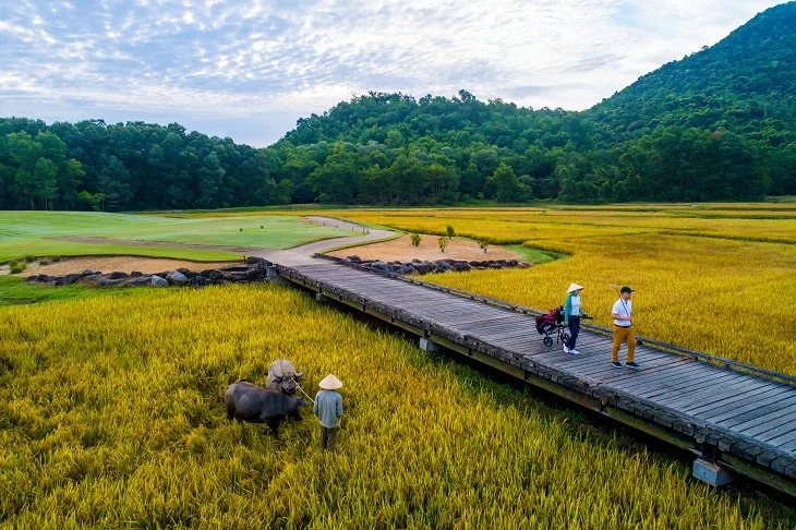 Khu nghỉ dưỡng Laguna Lăng Cô - 02 Khu nghỉ dưỡng Laguna Lăng Cô - 02