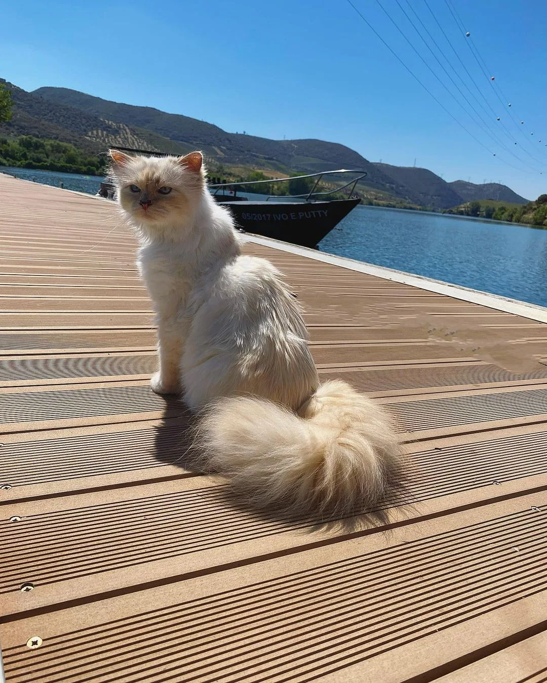 Choupette được đi du lịch xa hoa đắt đỏ