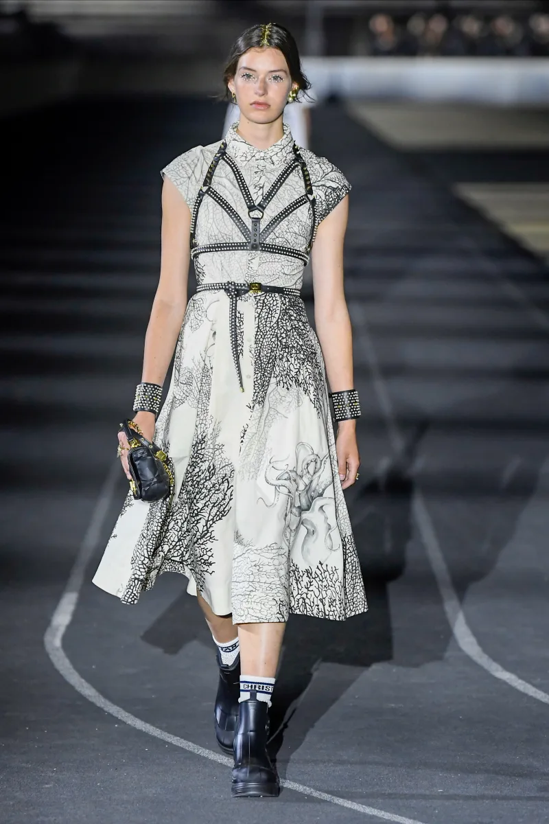 look 61 với harness