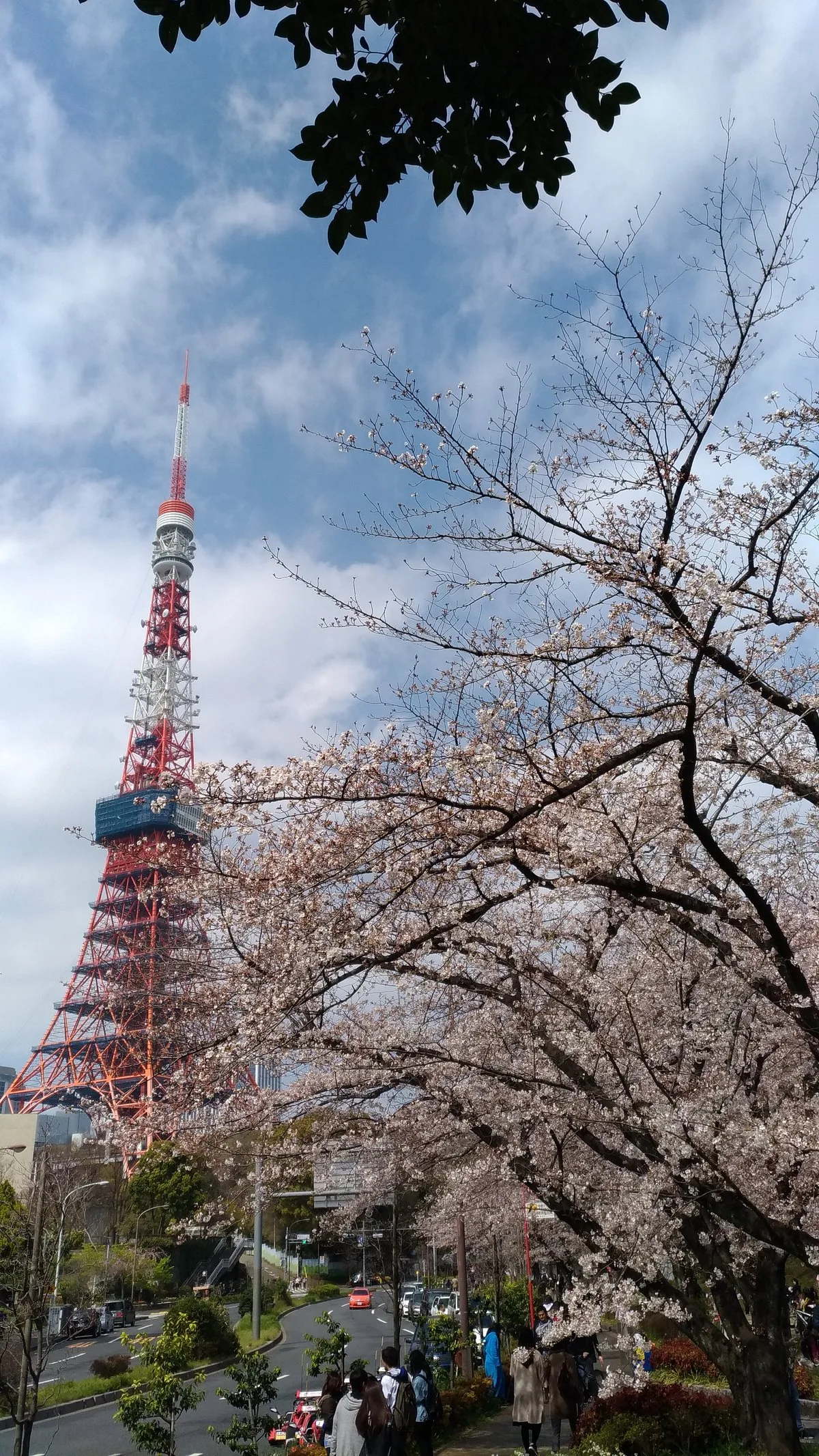 Công viên Shiba - Tokyo Metropolitan