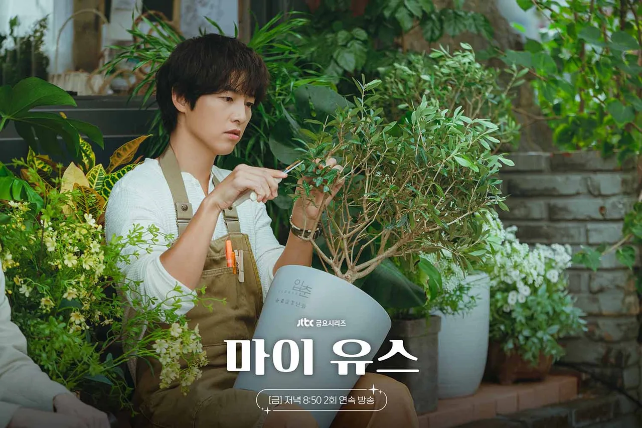 Song Joong Ki tái xuất với tác phẩm chữa lành mới nhất phim my youth