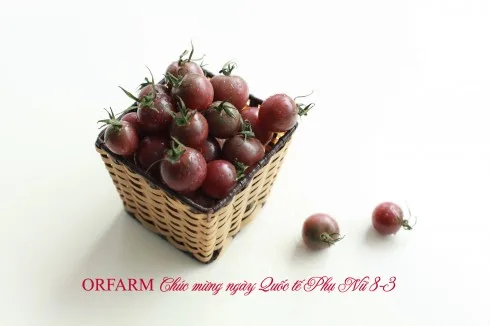 ellevn- ORFARM 2