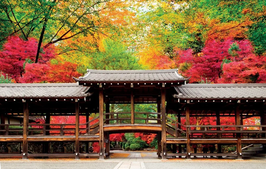 địa điểm cung cấp tour trị liệu địa điểm cung cấp tour trị liệu