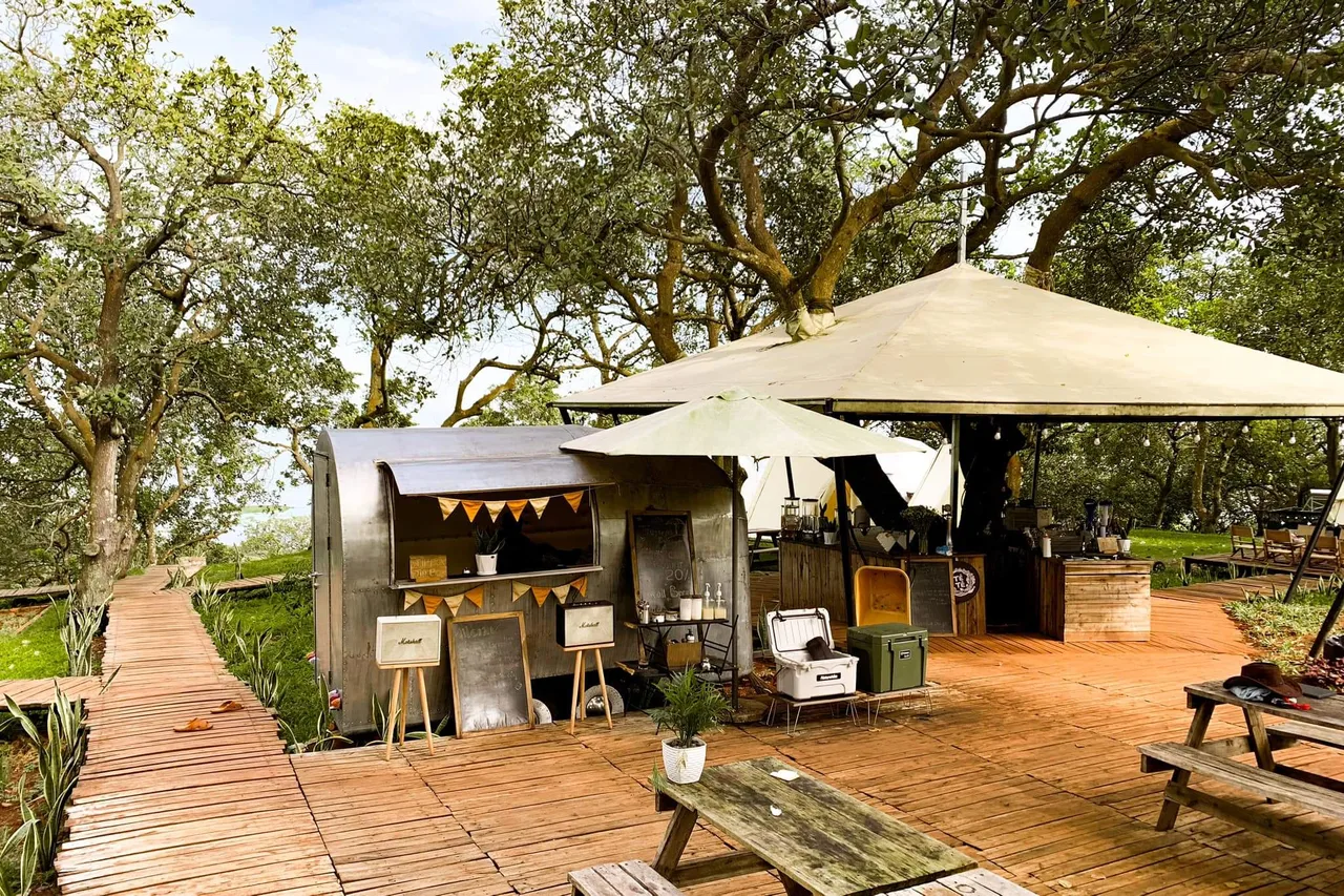 Dã ngoại tropical eglamping