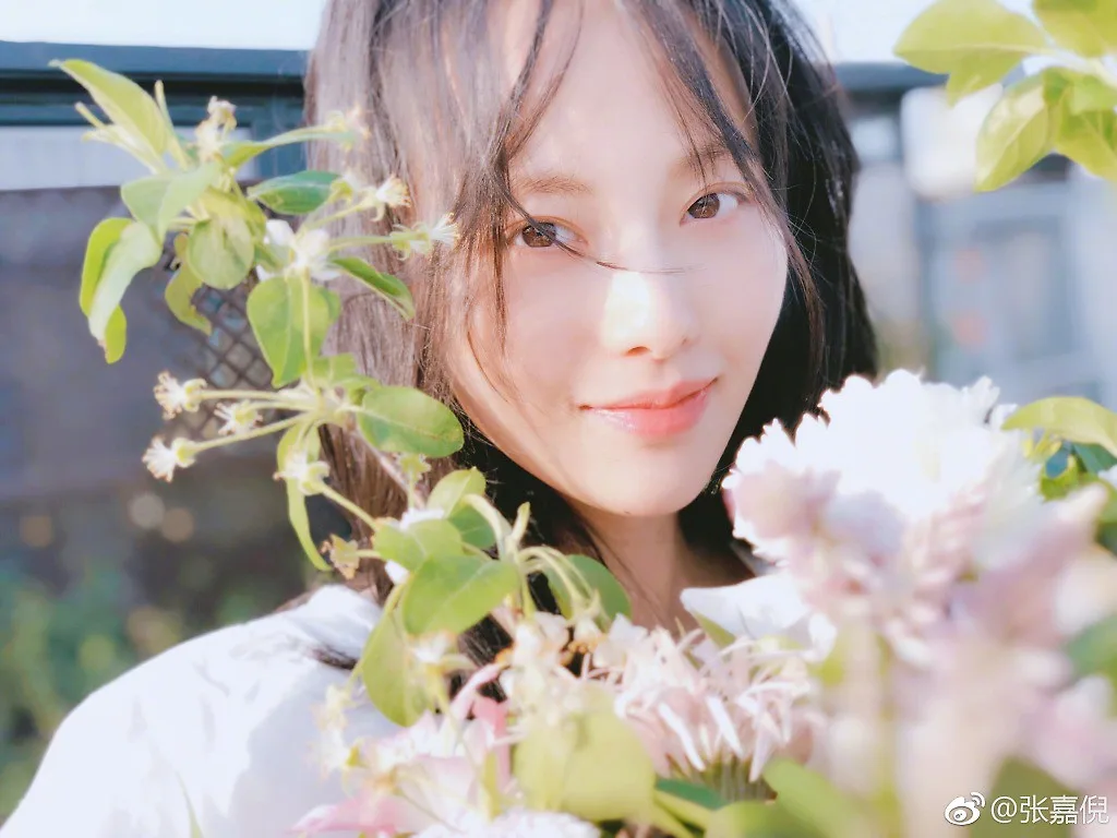 Trương Gia Nghê 4