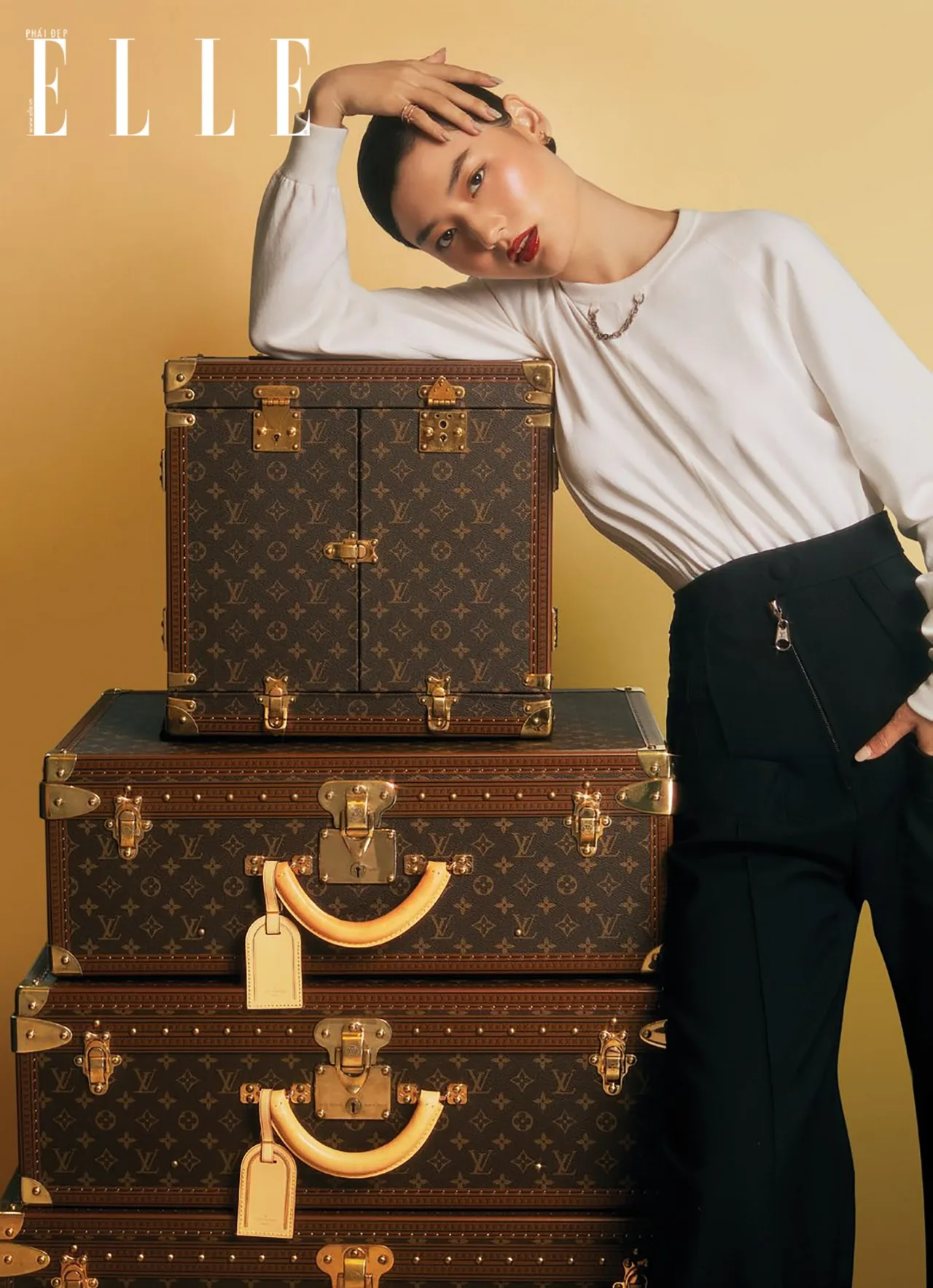 Louis Vuitton những chiếc rương kinh điển LV những chiếc rương kinh điển