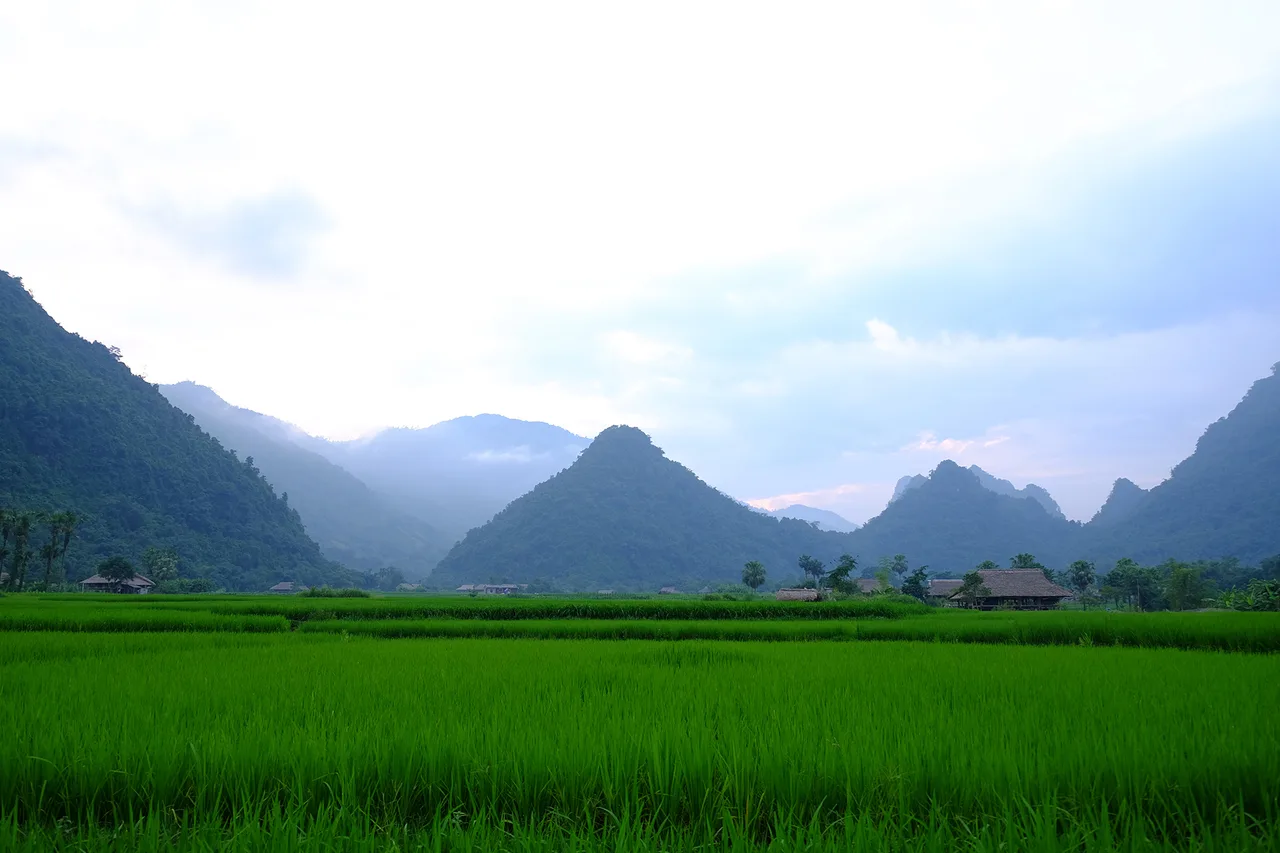 thung lũng mùa lúa xanh thung lũng mùa lúa xanh