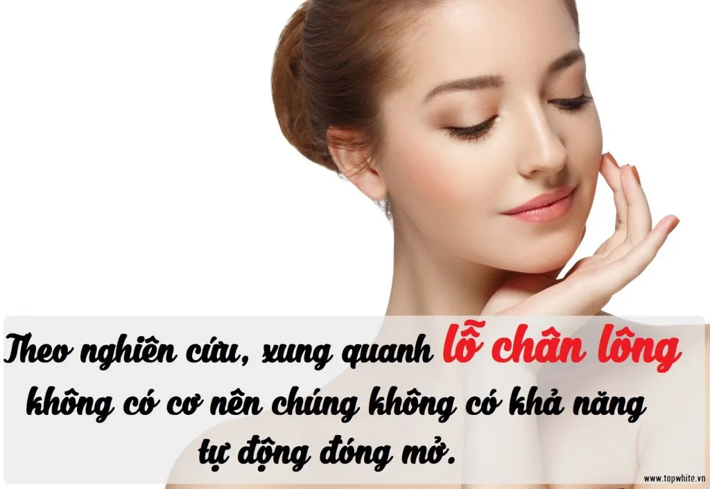 Những quan niệm sai lầm về lỗ chân lông 1 Những quan niệm sai lầm về lỗ chân lông 1