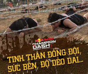 Tinh thần Đồng đội - Sức bền, độ dẻo dai